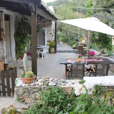 Olga'S Traditional Stone House, Palaiochora Kondokinigi ภายนอก รูปภาพ