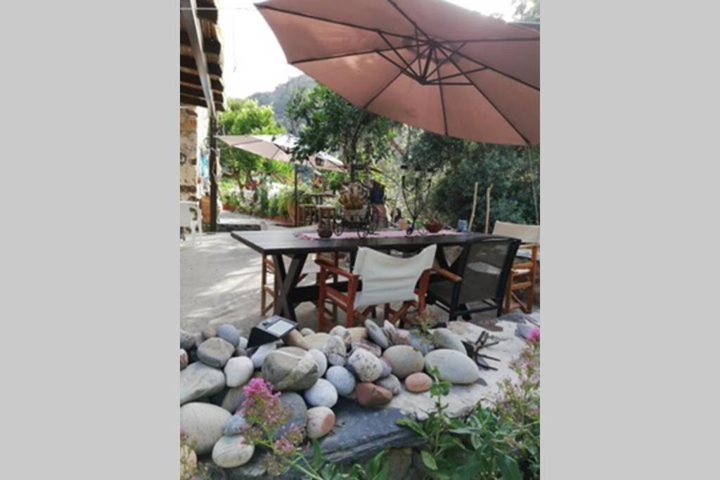 Olga'S Traditional Stone House, Palaiochora Kondokinigi ภายนอก รูปภาพ