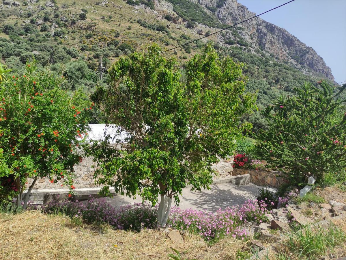 Olga'S Traditional Stone House, Palaiochora Kondokinigi ภายนอก รูปภาพ